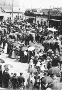 Crowd at a vintage parade with elephants, early 20th-century city street scene, historic event, community gathering, The History Museum.