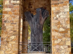 An ancient tree trunk sculpture situated within a stone archway at The History Museum, showcasing natural history and outdoor historical exhibits.