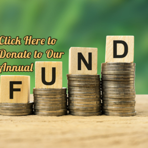 1. Donate to The History Museum's annual fundraising campaign with stacked coins and wooden blocks spelling F, U, N, D for community support and preservation.